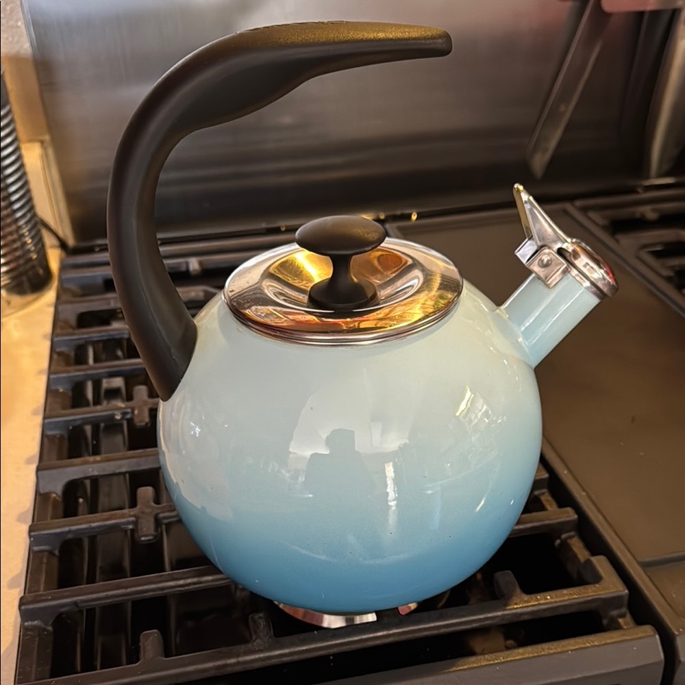 Blue and Black Ombre Tea Kettle with Curved Spout